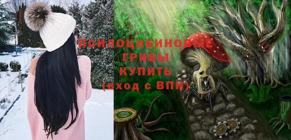 шишки Балабаново