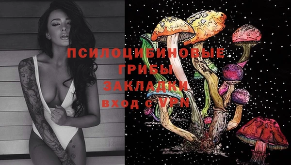 шишки Балабаново