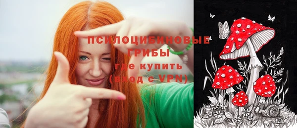 шишки Балабаново